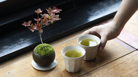 Savoring with All Five Senses While Admiring Bonsai: A Natural Brewing Recipe for "005 Okumidori" Using Cooled Water